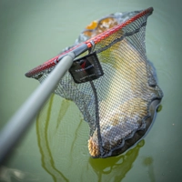 Daiwa Tournament Hybrid Landing Nets